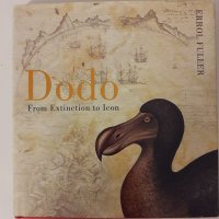 Dodo(@alscompa) 's Twitter Profile Photo