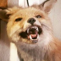 Slim Shouty (@charliewestest) 's Twitter Profile