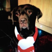 Jules (@jy22dreams) 's Twitter Profile Photo