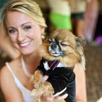 Brooke Krbec (@bkrbec) 's Twitter Profile