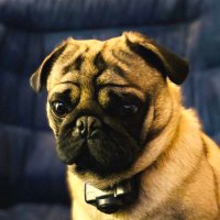 Mary Mac Lax (@mmaclax15) 's Twitter Profile