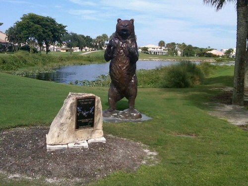 decorato's profile picture. 