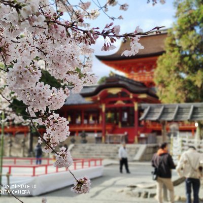 京都。ポケモンゴーしてます。