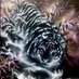 ShadowTigerRanger (@shadowtigerangr) Twitter profile photo ShadowTigerRanger (@shadowtigerangr) Twitter profile photo