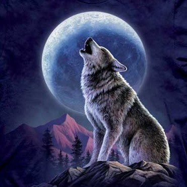 MoonwolfHowling Profile Picture