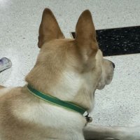 MinkMichaelis (@mink230936) 's Twitter Profile