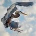 ๐๐Blue Heron๐๐ (@henricoblue) Twitter profile photo ๐๐Blue Heron๐๐ (@henricoblue) Twitter profile photo