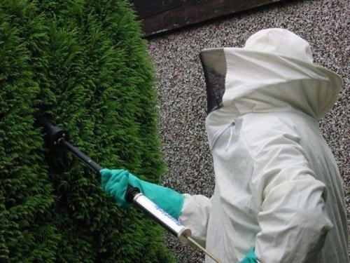 Offering all aspects of Pest Control to residential & commercial customers. 5 million Public liability. 01254 683954 for help/advice or to book a appiontment