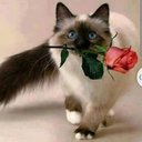 Sandra Muro - @SandraMuro16 - Twitter