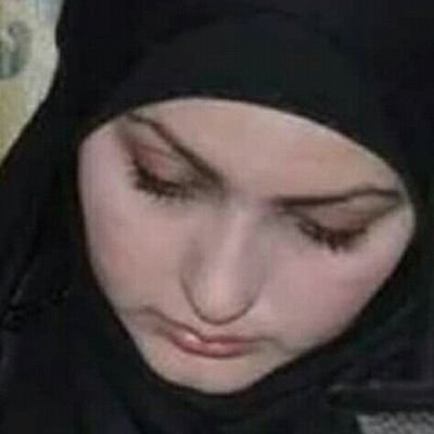 جنوبية شامخة Profile