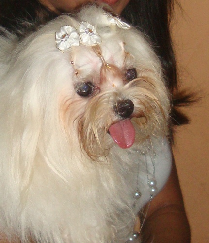 lolypp9's profile picture. 