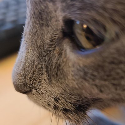 hdformat's profile picture. si vales valeo