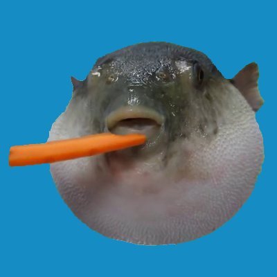 Pufferfish667