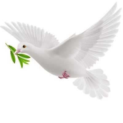 We stand for nothing but peace. That means if you are someone who is against the idea of peace, we are watching you!
