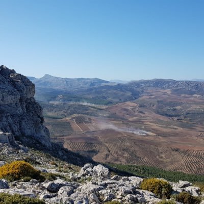 BeatriceOnado's profile picture. 