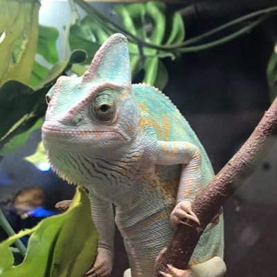 yarukinashiko31's profile picture. 旅行・音楽・映画とか❤️ 保育と介護業界にも強く反応します！弱い者イジメや忖度政治は大嫌い。 とか言って…いい歳して自分が無いから、イイね&リツイばっかり😊