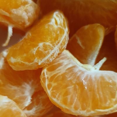 PBT66's profile picture. 