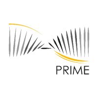 project-PRIME(@H2020_PRIME) 's Twitter Profile Photo