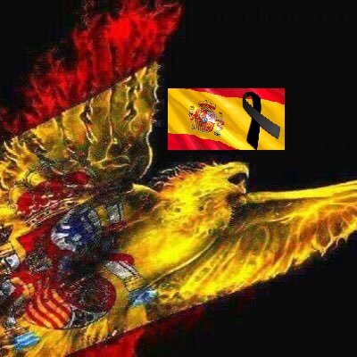 Español, Castellano y Castizo. ¡A mucha honra! Amo mi tierra, ¡VIVA ESPAÑA y VIVA EL REY 🇪🇸💚🇪🇸💚🇪🇸💚! Afiliado a VOX, #EspañaSiempre
