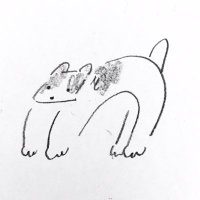 inullnuit (@inullnuit) Twitter profile photo