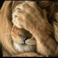 John Parsons (@jackboswell72) 's Twitter Profile Photo