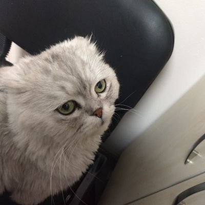 toprak34000's profile picture. 