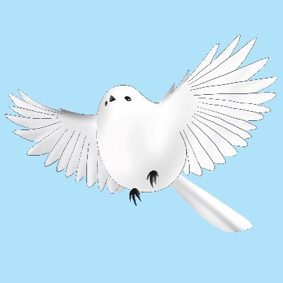 しろいとりさんのプロフィール画像