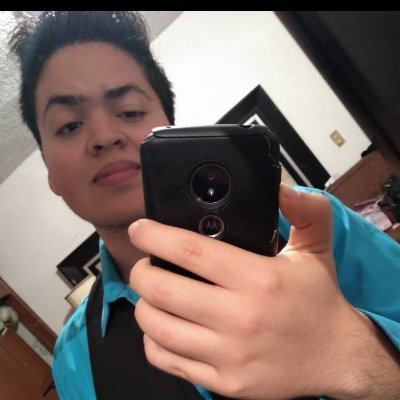 🇲🇽 Ing. De software |Pudin | CTF player (websploit)| Gamer | FullStack dev. | data science