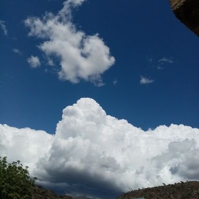 ميت بس عائش عناد