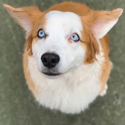 lorganic766's profile picture. 