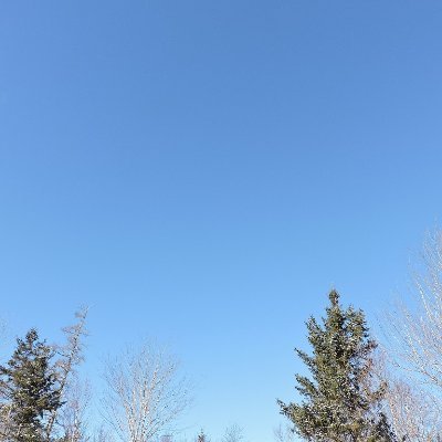 wanderer9642's profile picture. Wandering through life picking up treasures along the way.