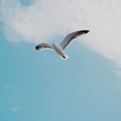 DME_Dream's profile picture. 