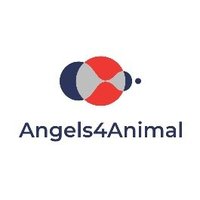 🛑Angels4animal🚀(@BAngels4Animal) 's Twitter Profile Photo