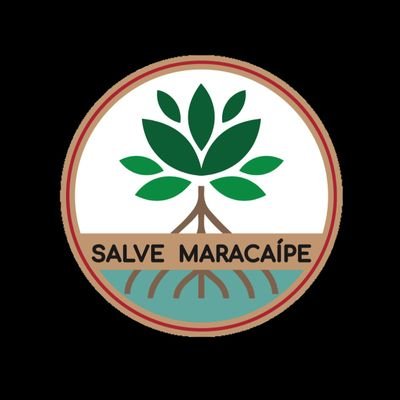 Movimento Ambientalista
Novo perfil no Twitter @salvemaracaipe