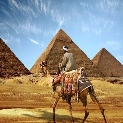 ZfVWZMgdxo4cisb's profile picture. 