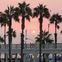 MaryQC's profile picture. I am a single mother who loves animals