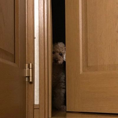 Mask0820's profile picture. 