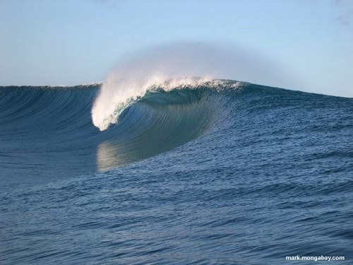 RiceM8's profile picture. 