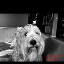 Terry Hoff - @terdeaho - Twitter