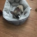 Bathsheba Black - @BathshebaBlack4 - Twitter