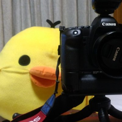 ぼくいなのサブ垢。コメ、ファボ用。
※タイムラインが汚れる可能性があるので、フォローは本垢にお願いします。
本垢は、写真オンリー↓
main:@bokuwainaka
Instagram:https://t.co/cE1bKmAW9Q