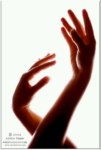 adriellejoy's profile picture. Bibliophile, art collector, connoiseur of the random and weird! Winnipeg is my home and my house my sanctuary, oh and I love cats.