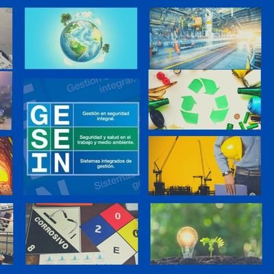 GESEIN1's profile picture. GESEIN Gestión en Seguridad Integral.