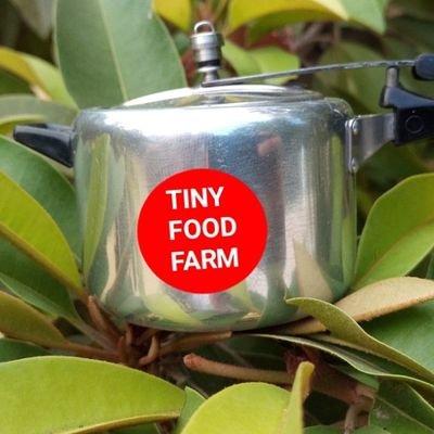 Tiny Food Farm