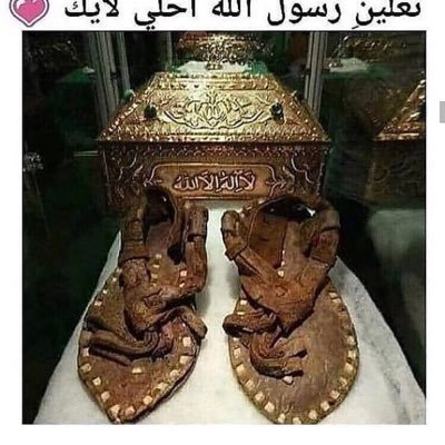 abdul69589618's profile picture. I honestly