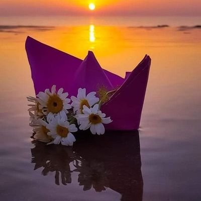 VPgtdzIcX77MIZR's profile picture. 