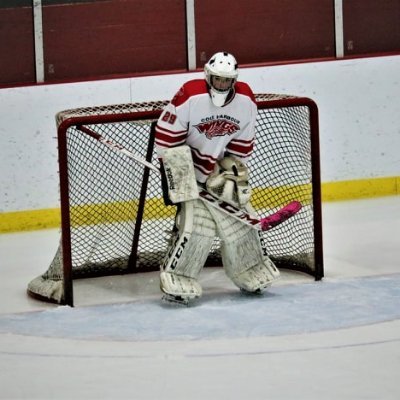 Serious Sports fanatic, Goalie Dad