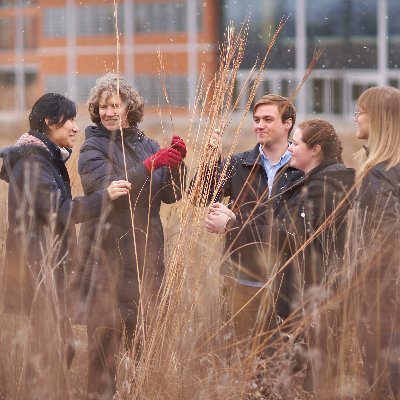 We @DanforthCenter study the biological basis of plant diversity in the grass family; Tweets/news are from PI & lab members & are not endorsements