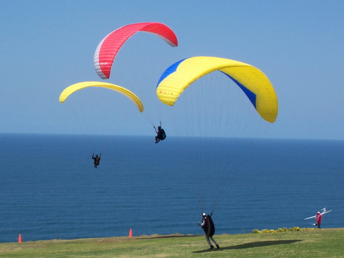 wafmcpr's profile picture. 