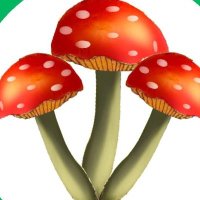 NPICIreland - National Poisons Information Centre (@irelandnpic) 's Twitter Profile Photo NPICIreland - National Poisons Information Centre (@irelandnpic) 's Twitter Profile Photo
